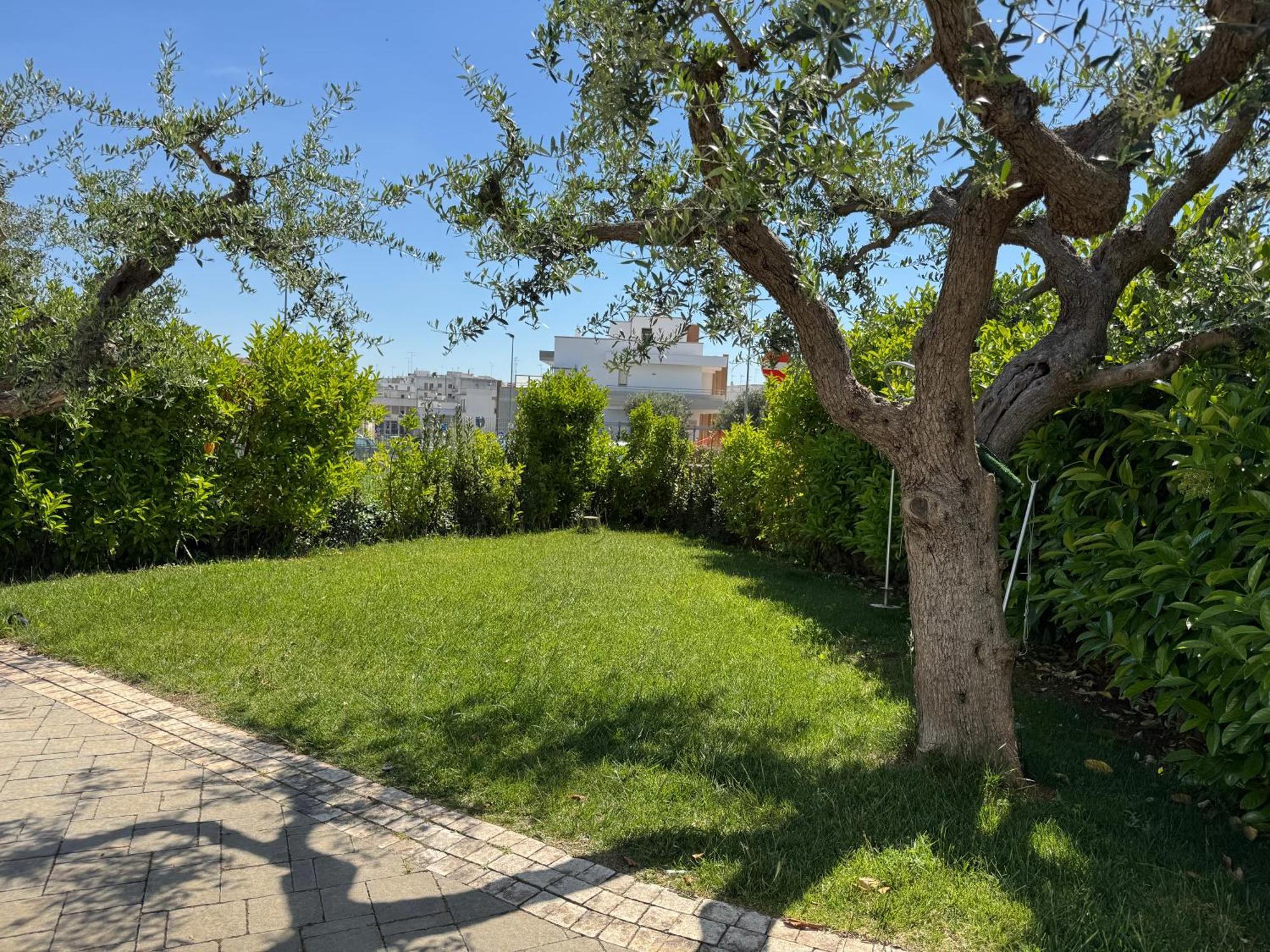 Ferienwohnung I Cinque Ulivi Alberobello Exterior foto